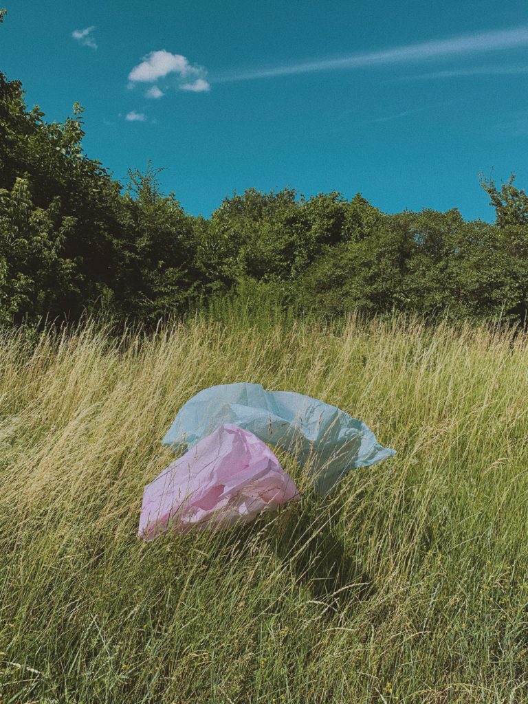 Pink and blue plastic bags in a sunny, field of tall grass with trees in the background.