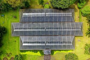Designing with a conscience: bird's eye view of solar panels in a green clearing.